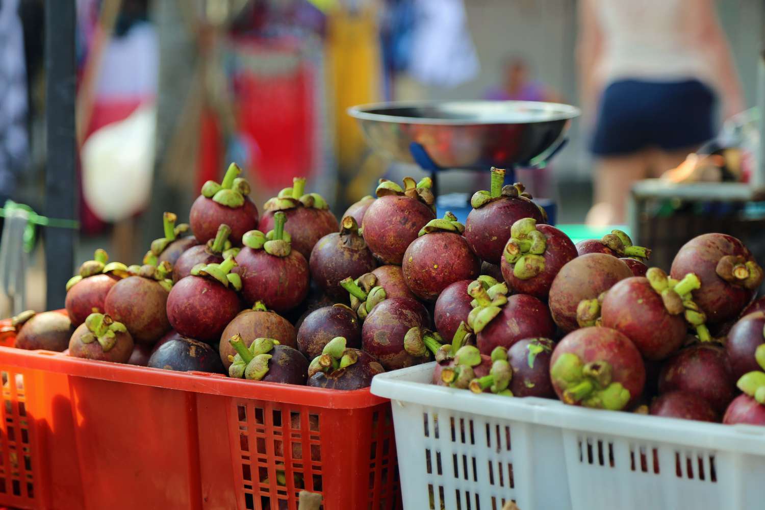 How to Include Mangosteen into Your Skin Care Routine?